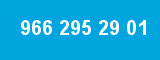 966 295 29 01 966 295 29 01